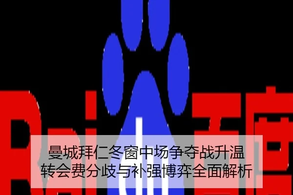 曼城拜仁冬窗中场争夺战升温 转会费分歧与补强博弈全面解析