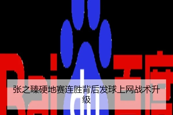 张之臻硬地赛连胜背后发球上网战术升级